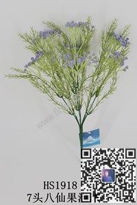 图片HS1918  7头八仙果泡沫