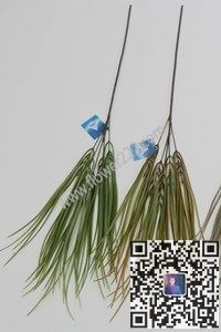 图片HS2338P  单枝喷2叉春兰草