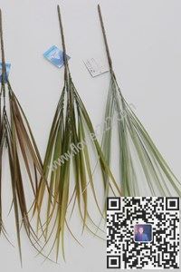 图片HS2339P  3叉喷24条中国兰