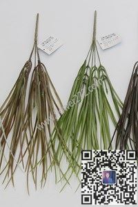 图片HS2336P  5头喷2叉春兰草