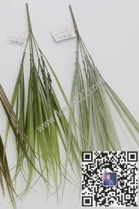 图片HS2337P  6头喷中国兰