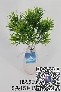 图片合集把束水草-简约本约