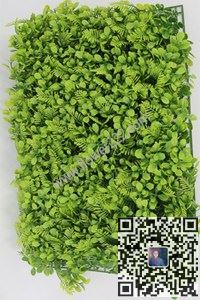 图片合集—草皮本皮