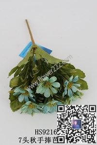 图片花花本花-合集