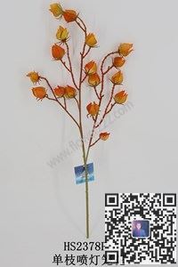 图片单枝水草喷色合集