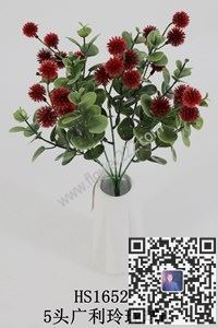 图片把束水草搭配合集