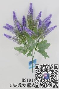 图片薰衣草系列合集