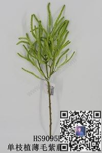 图片单枝水草植毛合集